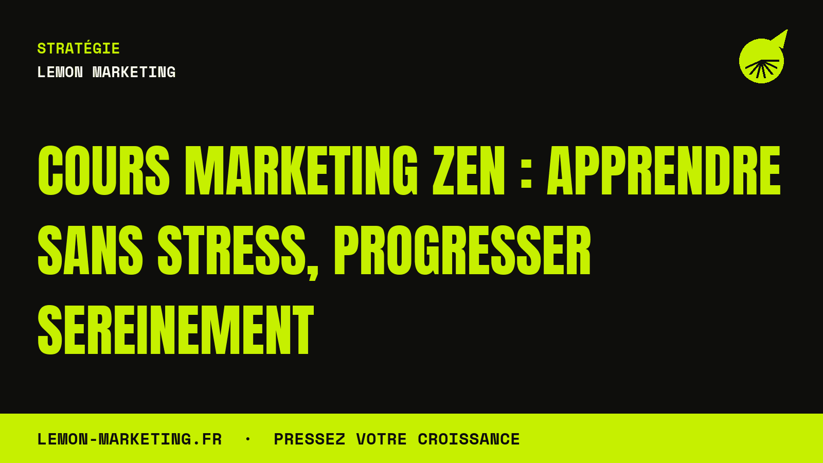 Cours Marketing Zen : Apprendre Sans Stress, Progresser Sereinement