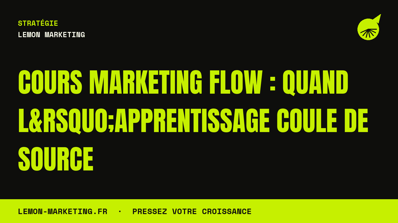 Cours Marketing Flow : Quand l’Apprentissage Coule de Source
